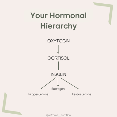 Hormonal Hierarchy.png